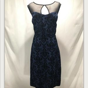 Alexa B Evening dress. Blue/velvet black print(14)